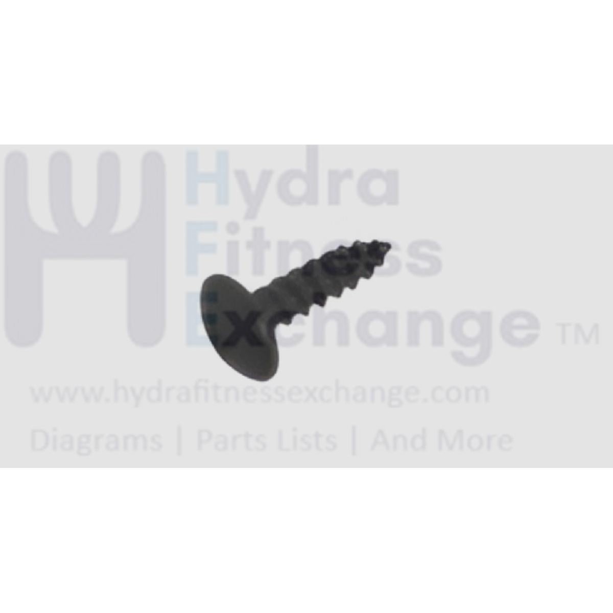 Matrix Retail Recumbent Bike Button Head Phillip Screw 4x15L 1000090321
